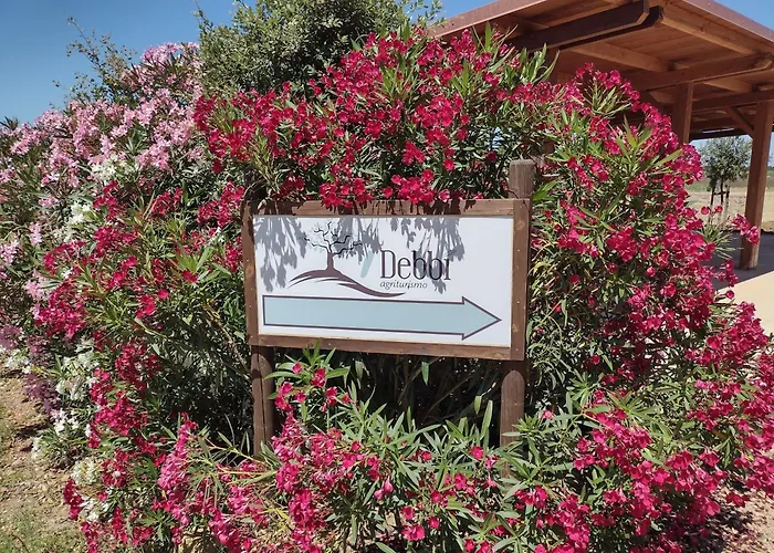 Agriturismo I Debbi Bibbona